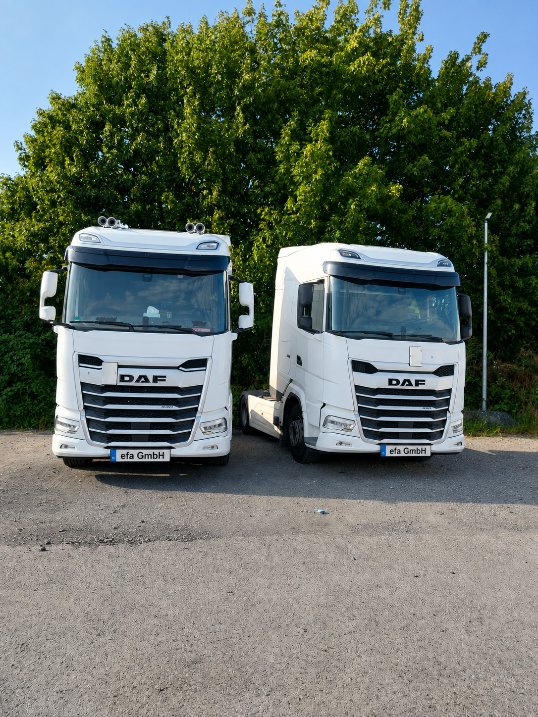 Zwei DAF Sattelzugmaschinen der efa GmbH